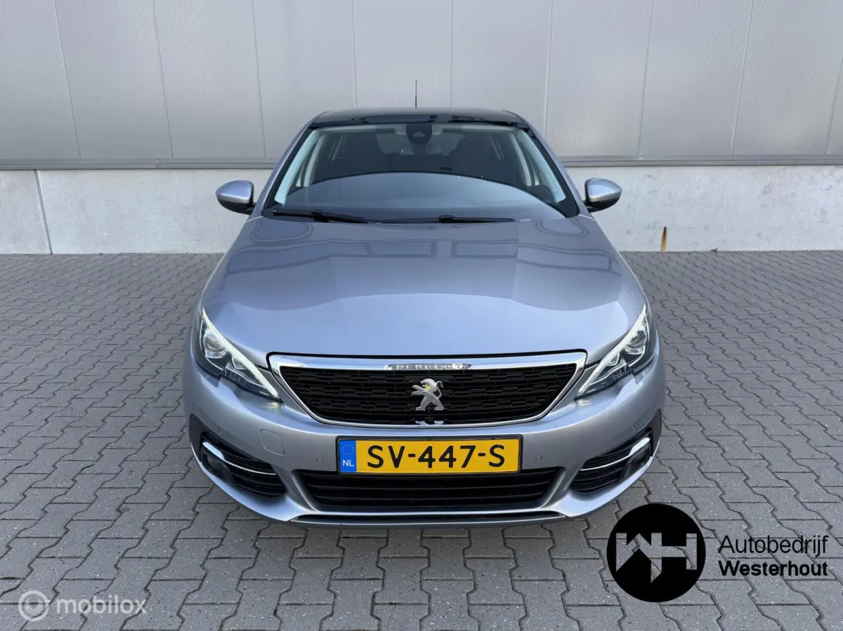 1.2 PureTech Blue Lease Executive|PANO|LINE ASSIST