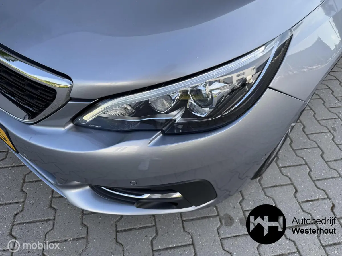 1.2 PureTech Blue Lease Executive|PANO|LINE ASSIST