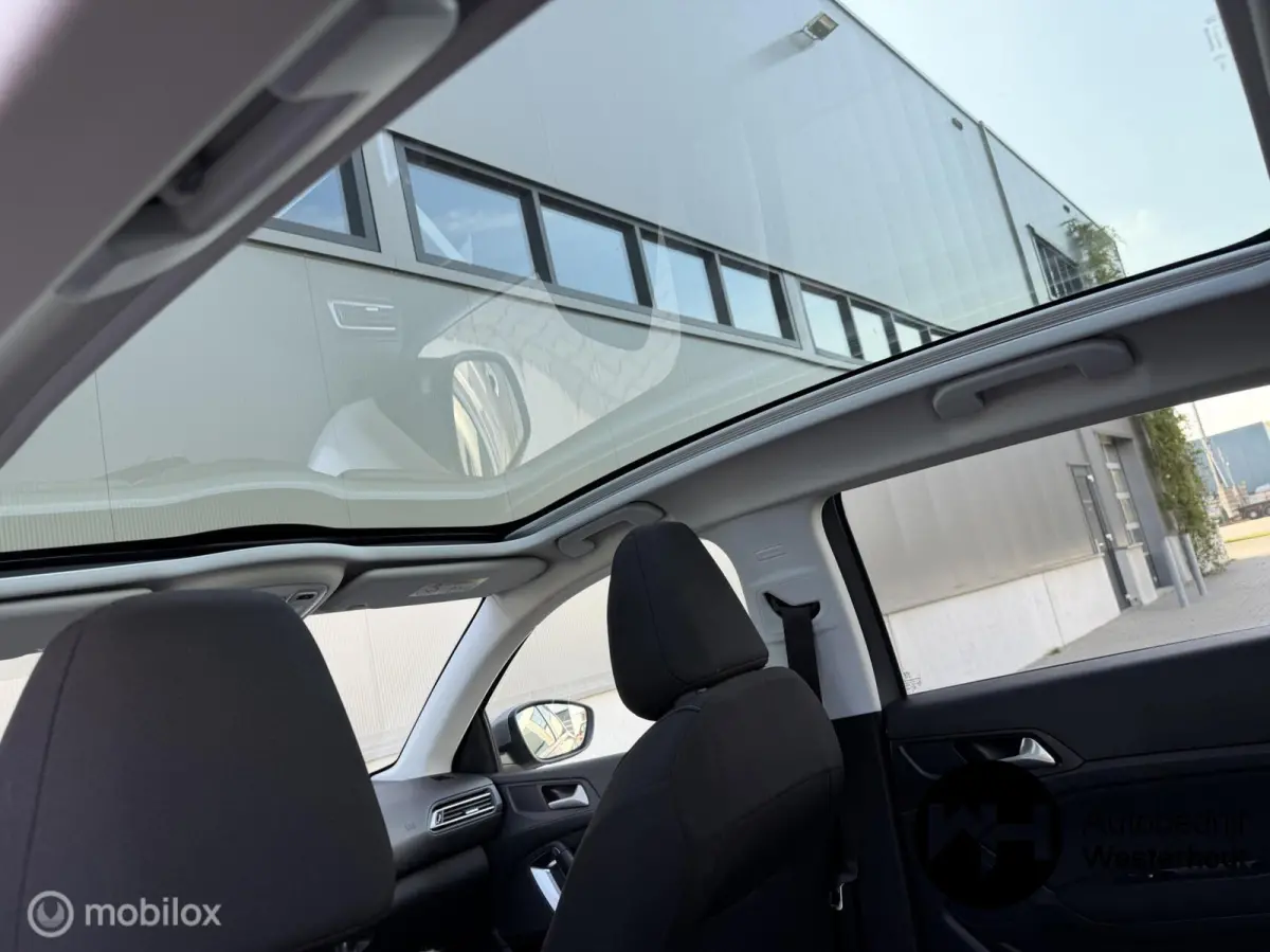 1.2 PureTech Blue Lease Executive|PANO|LINE ASSIST