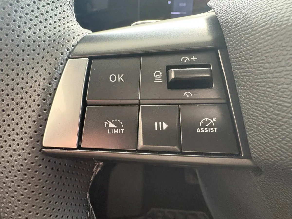 1.6 Turbo Plug In Hybrid Ultimate Levering per september