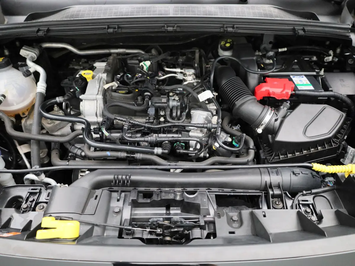 1.0 EcoBoost ST-Line X Winterpack | B&O Soundsystem | Adaptive Cruise | Navigatie | Camera | half leder