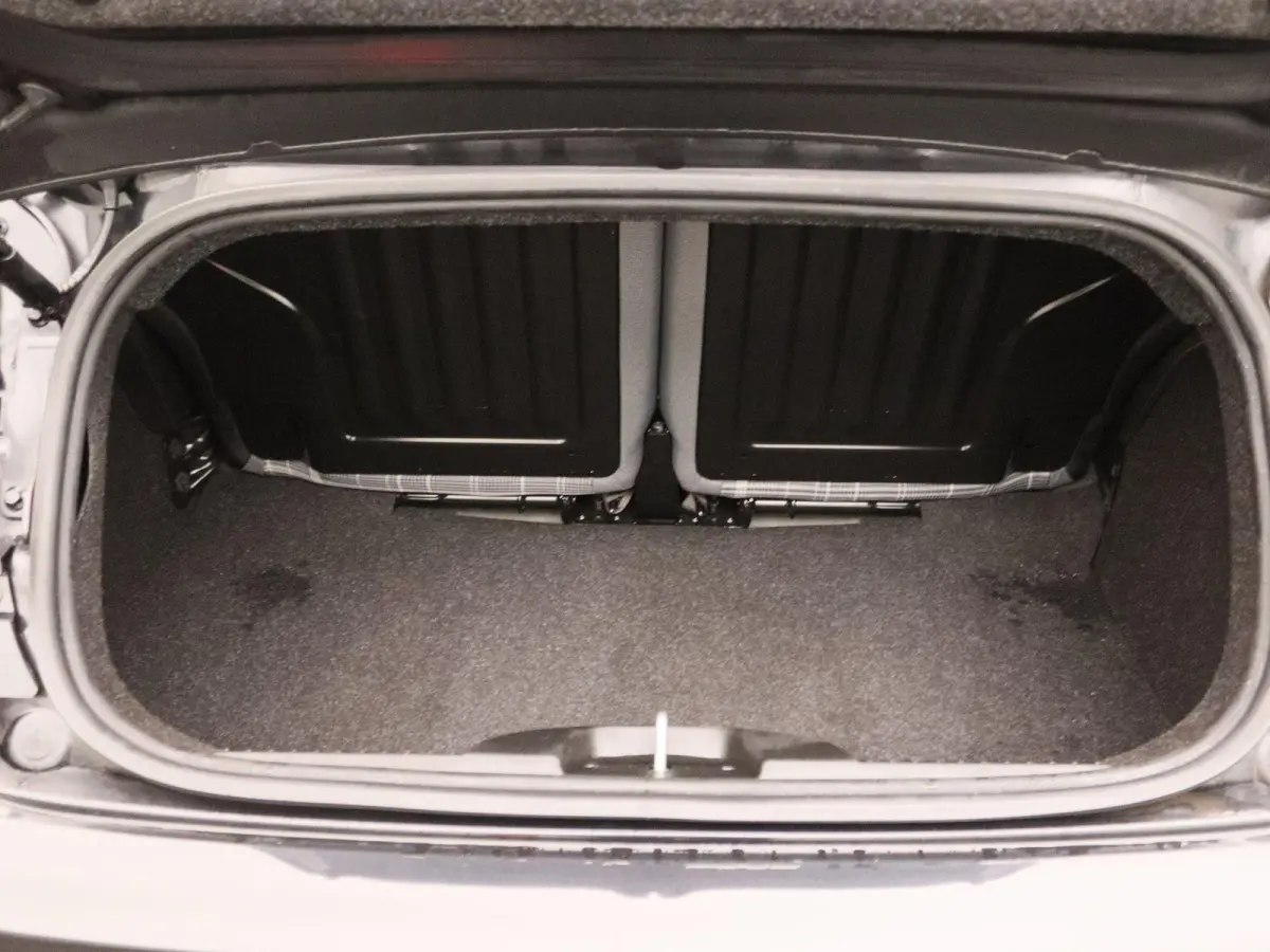 1.0 Hybrid Lounge | Wordt Verwacht | Apple Carplay/Android Auto | Cruise Control | Lichtmetalen Velgen |