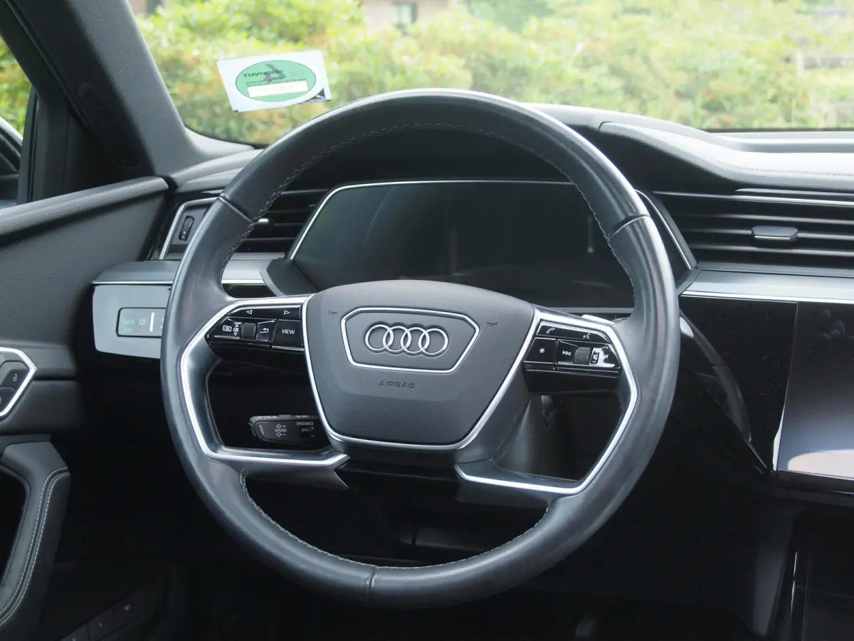 55 quattro Advanced edition Plus 95 kWh | SOH 90% | Panoramadak | Camera | ACC | Apple Carplay | Memory stoelen |