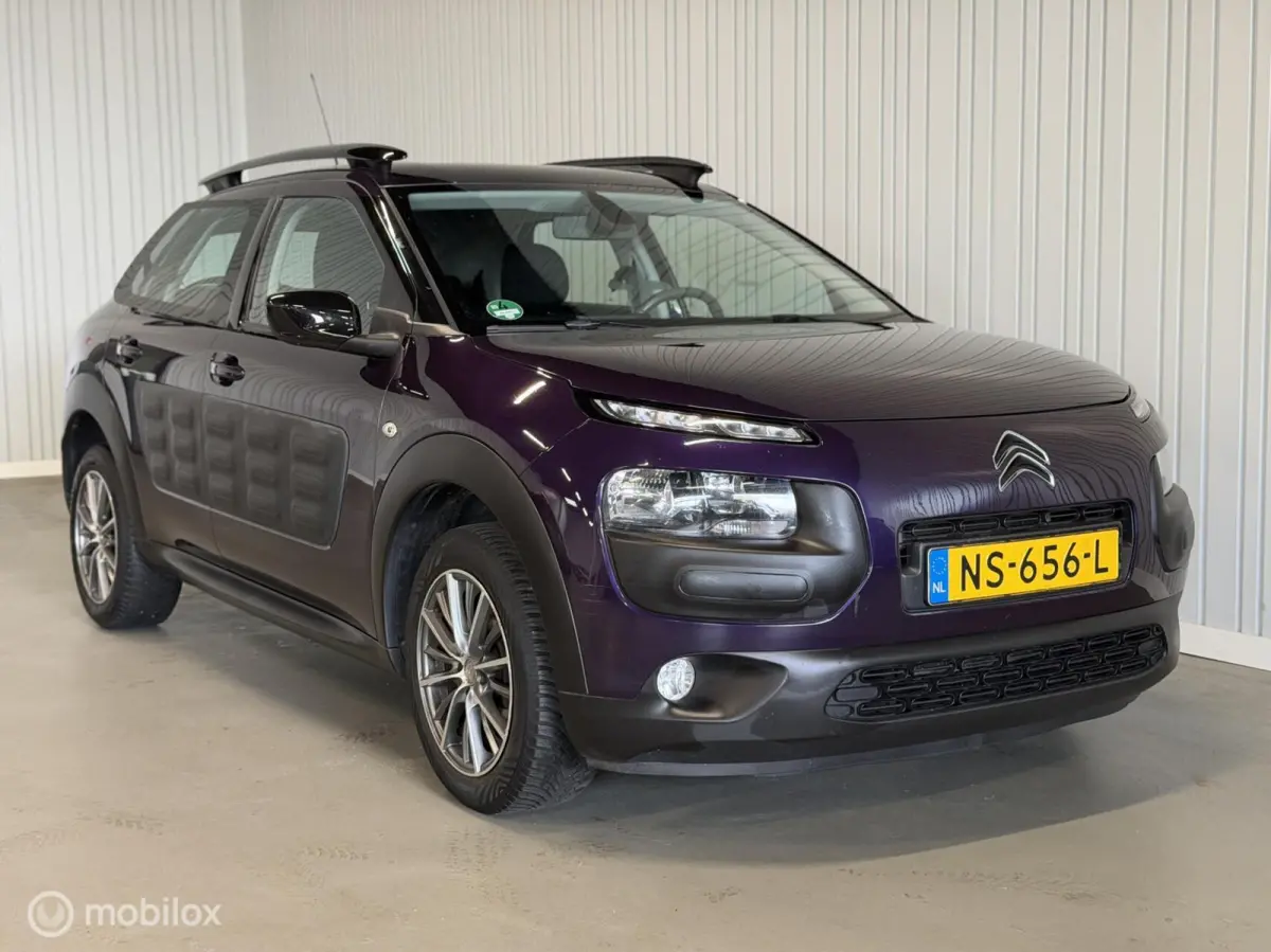 Financial Lease Citroen C4 Cactus