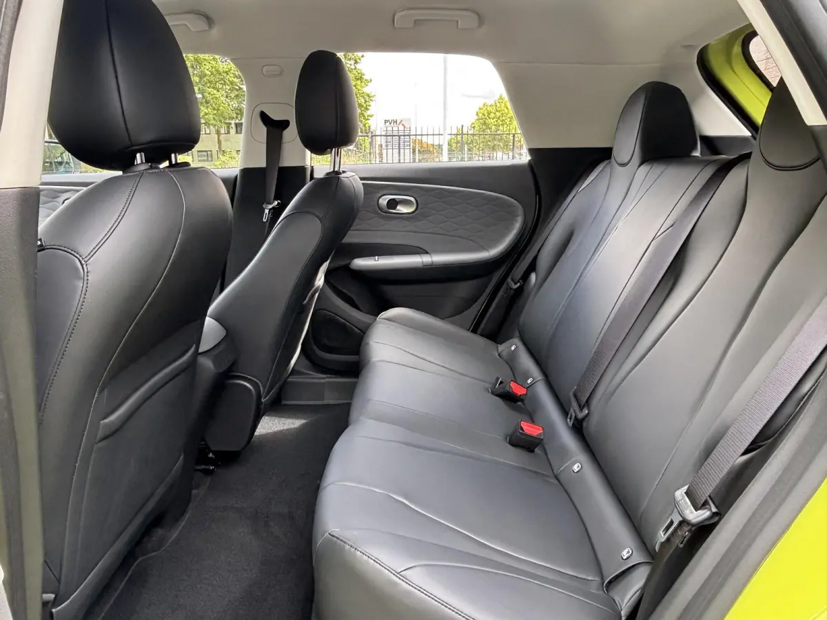 Launch Edition 42 kWh Nieuw Binnen | Uit voorraad leverbaar!