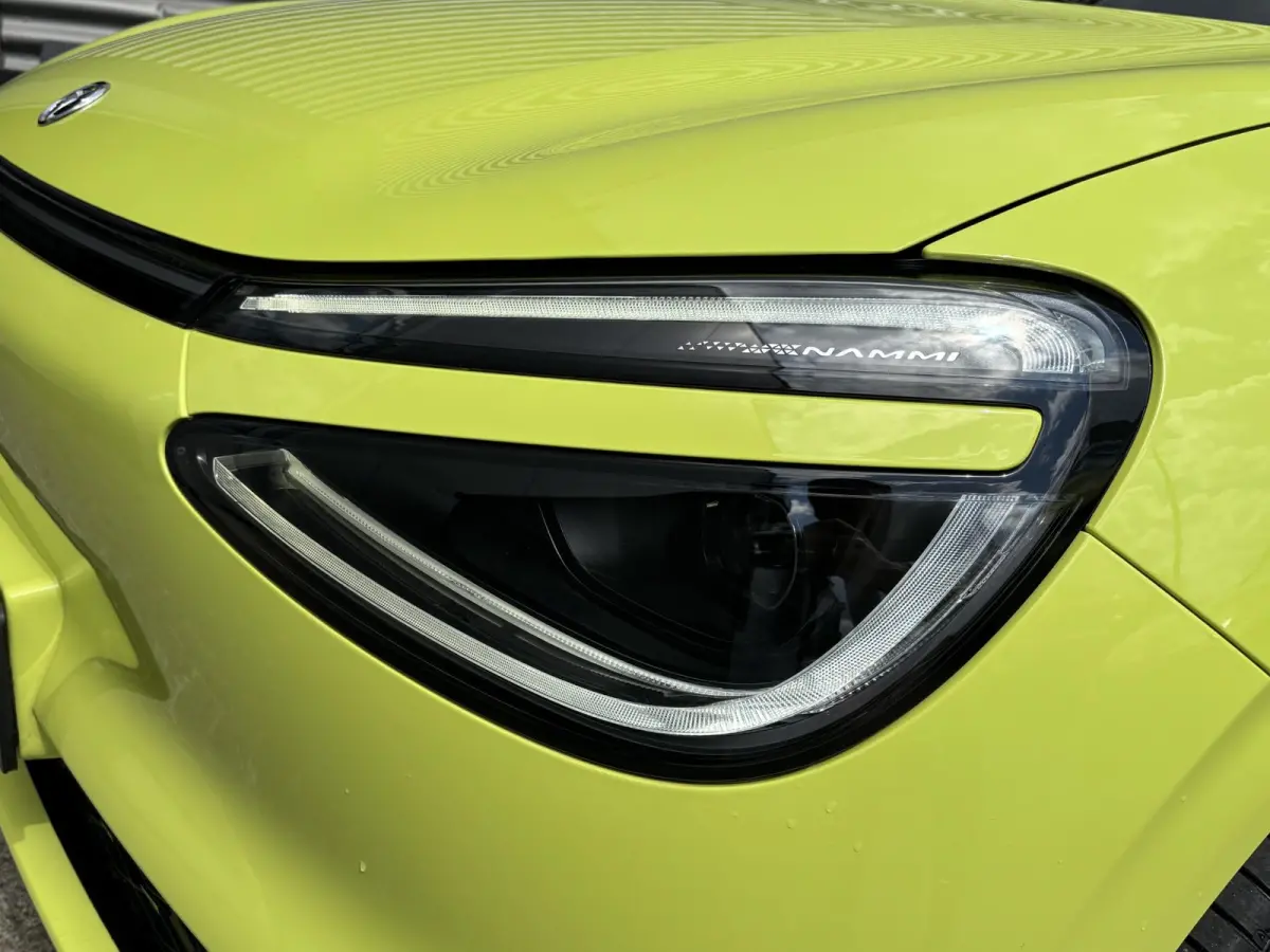 Launch Edition 42 kWh Nieuw Binnen | Uit voorraad leverbaar!