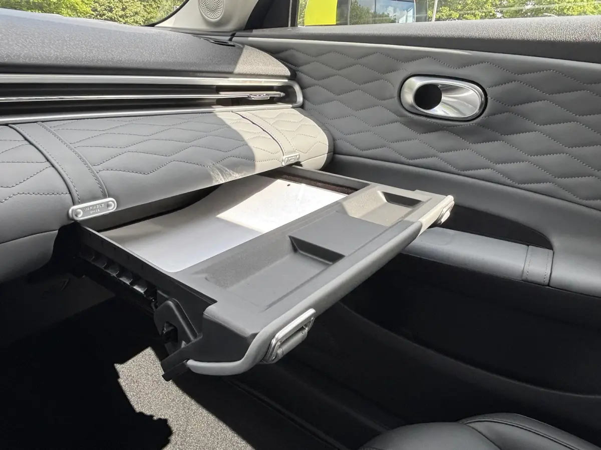 Launch Edition 42 kWh Nieuw Binnen | Uit voorraad leverbaar!
