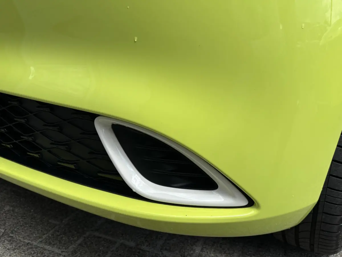 Launch Edition 42 kWh Nieuw Binnen | Uit voorraad leverbaar!