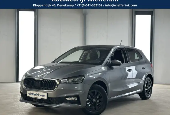 1.0 TSI 115 pk DSG Edition | Apple Carplay/Android Auto | Camera | Winter Pakket |