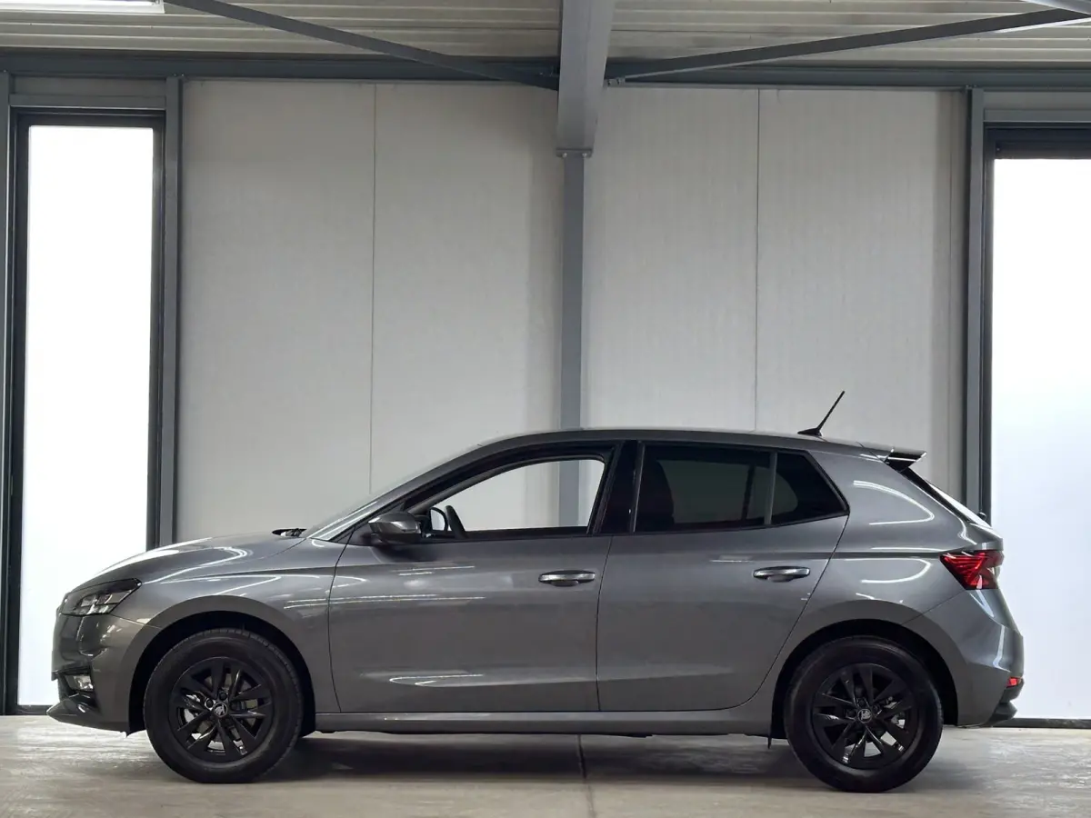 1.0 TSI 115 pk DSG Edition | Apple Carplay/Android Auto | Camera | Winter Pakket |