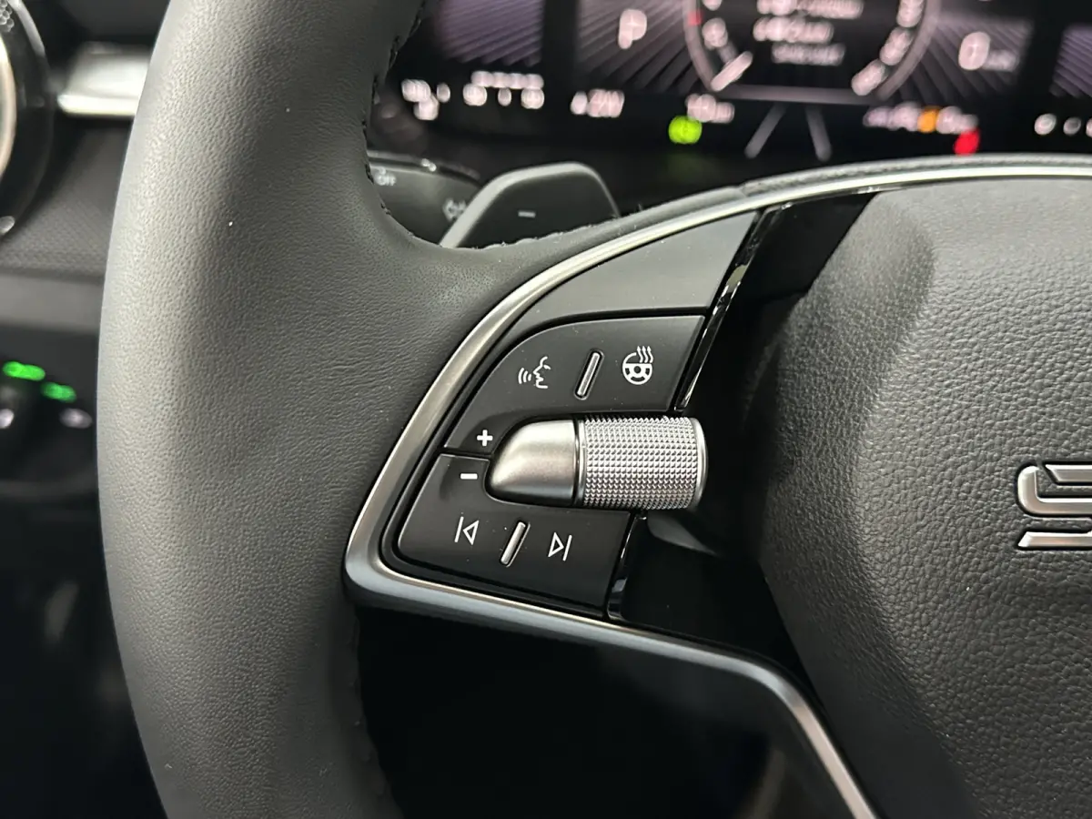 1.0 TSI 115 pk DSG Edition | Apple Carplay/Android Auto | Camera | Winter Pakket |