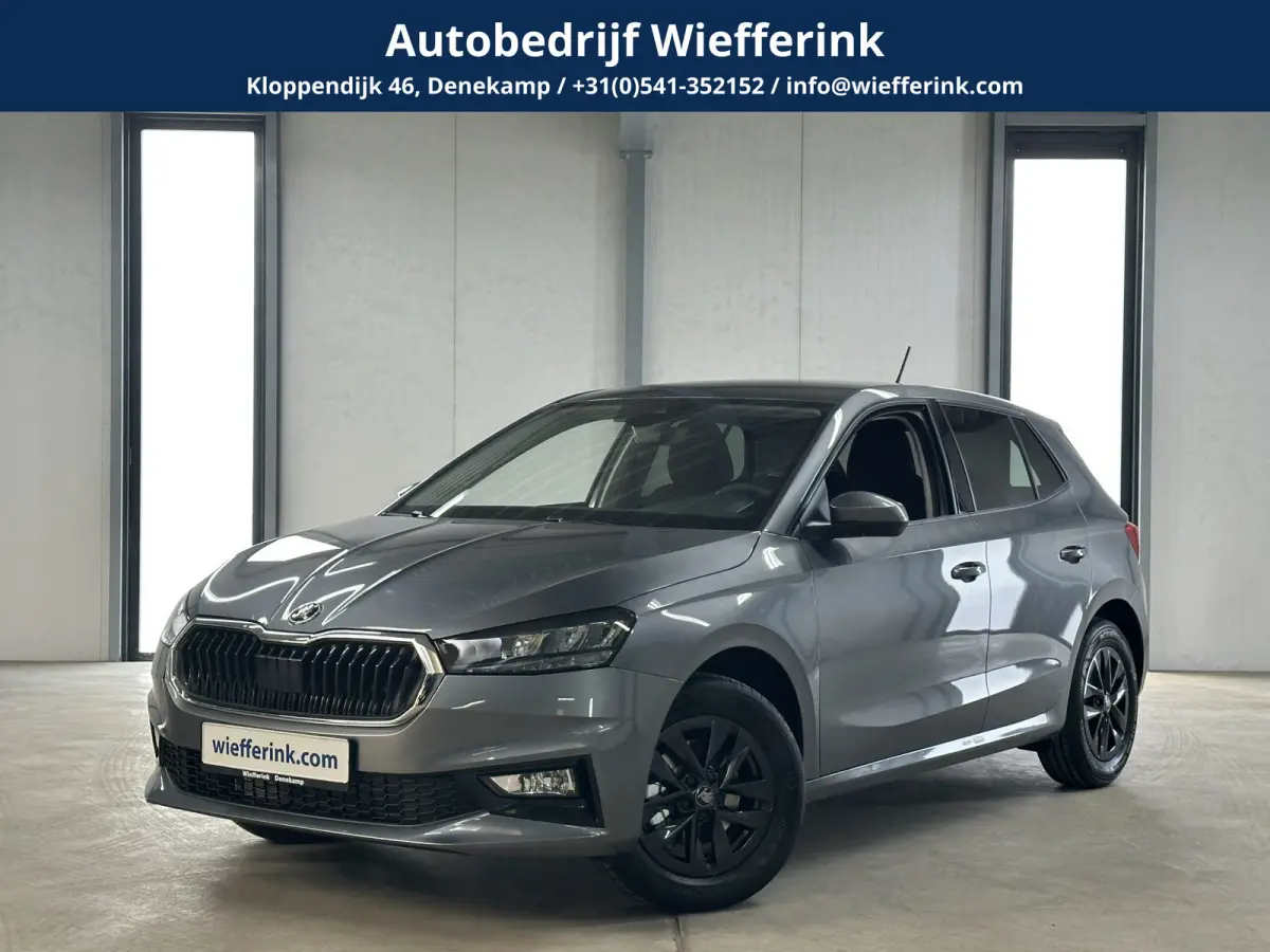 1.0 TSI 115 pk DSG Edition | Apple Carplay/Android Auto | Camera | Winter Pakket |