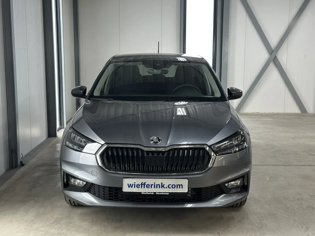 1.0 TSI 115 pk DSG Edition | Apple Carplay/Android Auto | Camera | Winter Pakket |