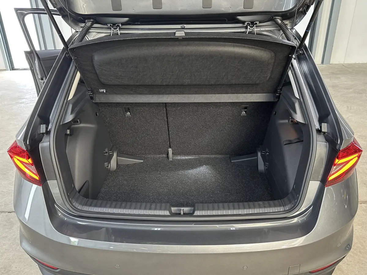 1.0 TSI 115 pk DSG Edition | Apple Carplay/Android Auto | Camera | Winter Pakket |