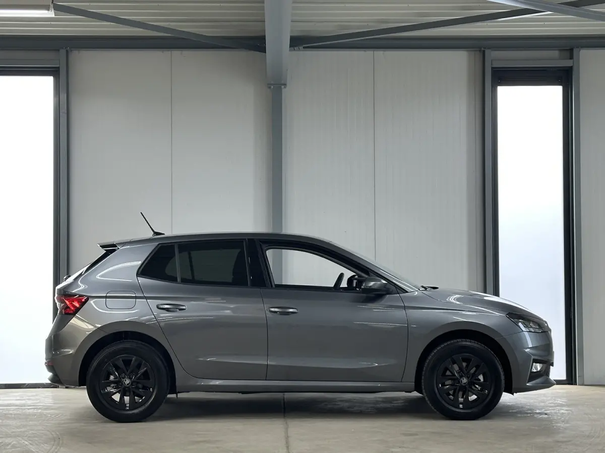 1.0 TSI 115 pk DSG Edition | Apple Carplay/Android Auto | Camera | Winter Pakket |