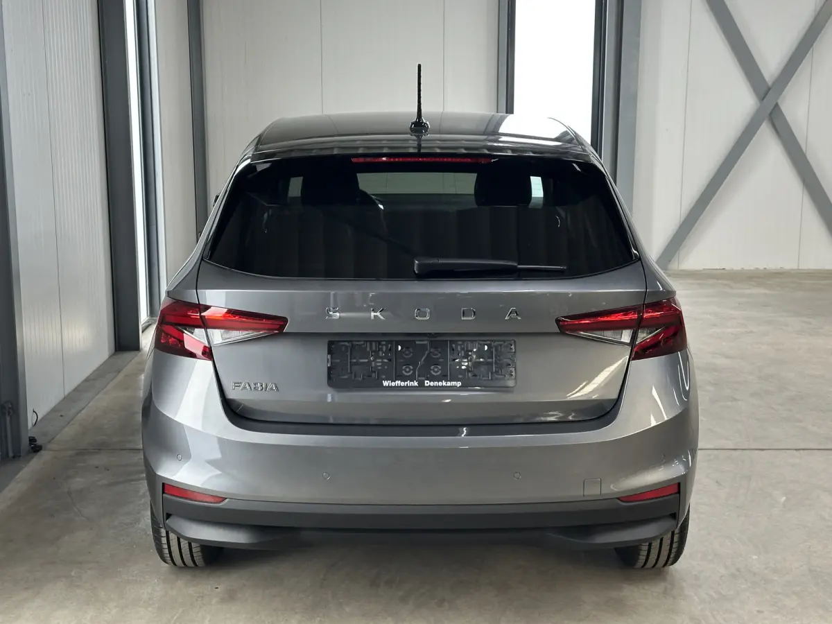 1.0 TSI 115 pk DSG Edition | Apple Carplay/Android Auto | Camera | Winter Pakket |
