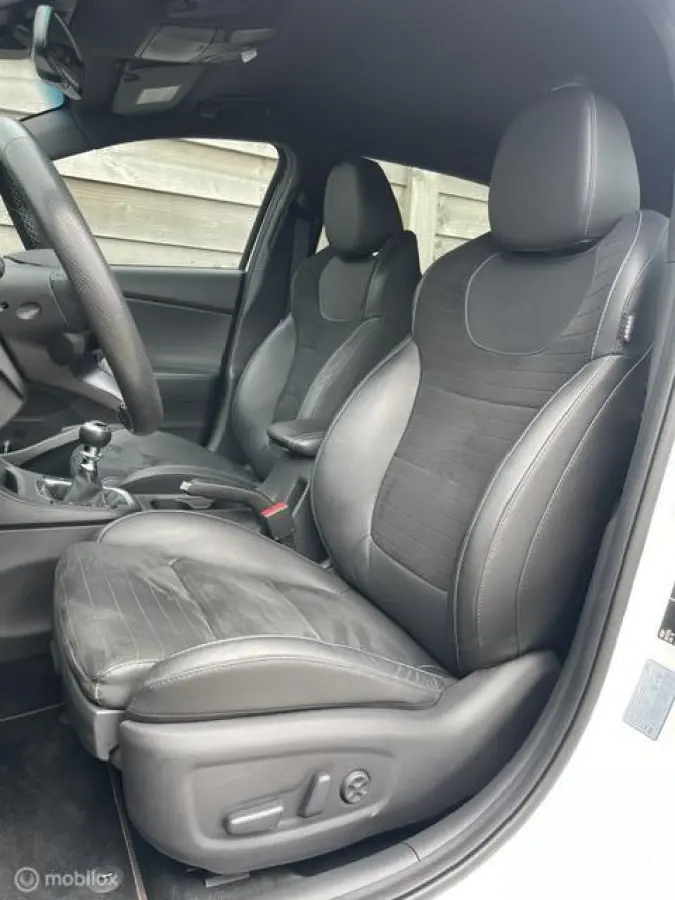 2.0 T-GDI N2 Performance Dealer Onderhouden