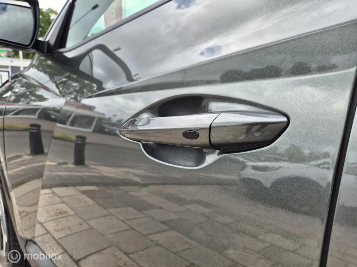 1.6 T-GDI HEV Premium, Leer, 360 Camera, NAP!