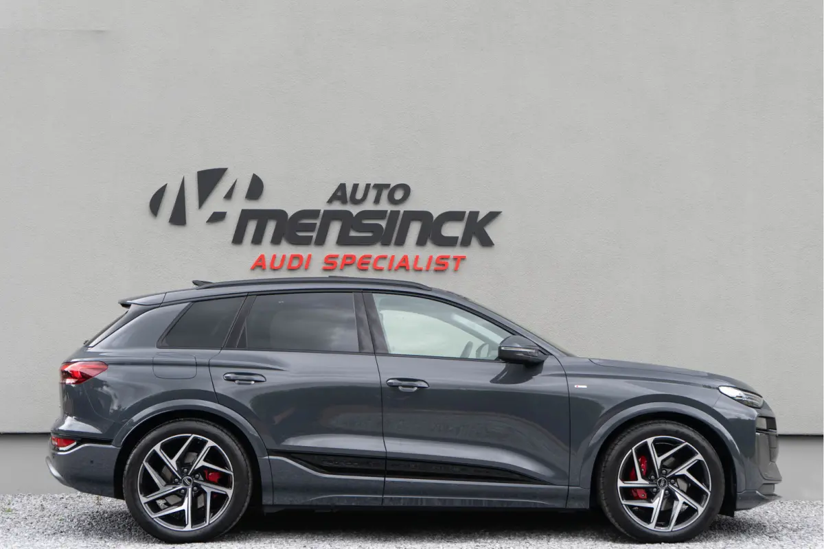 Quattro 100 kWh/ S-line/ Top View/ Bang & Olufsen Sound System/ Panoramadak/ Trekhaak/
