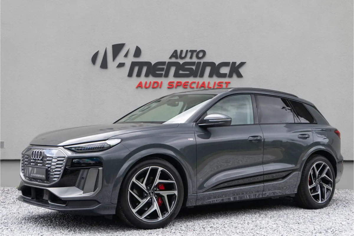 Quattro 100 kWh/ S-line/ Top View/ Bang & Olufsen Sound System/ Panoramadak/ Trekhaak/