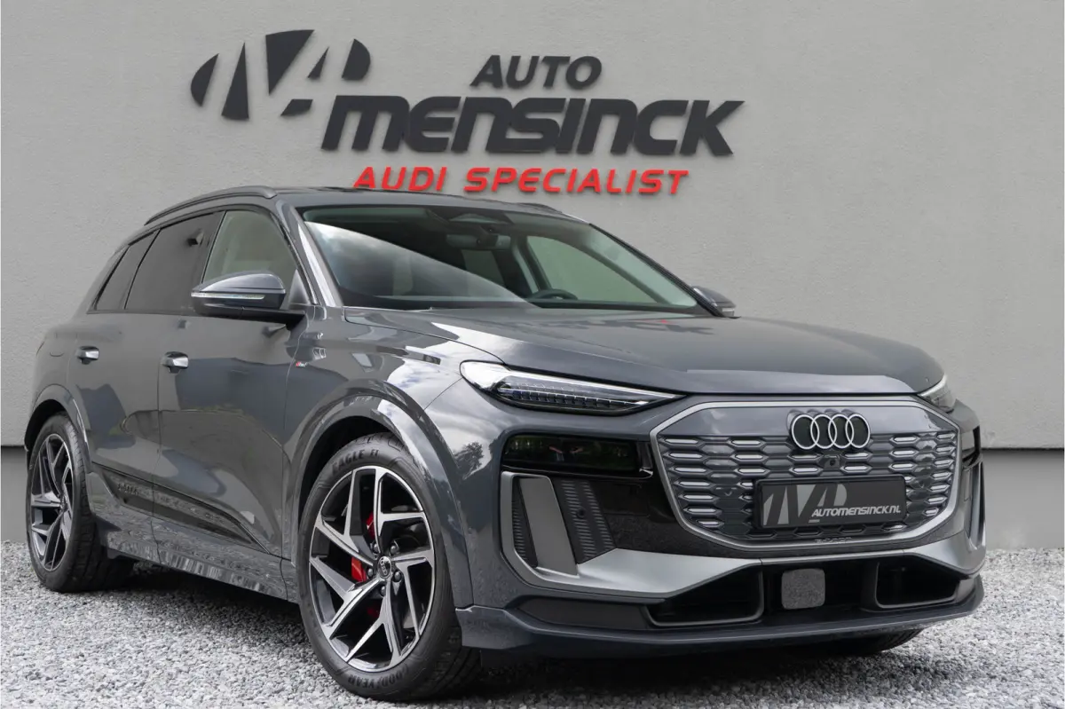 Quattro 100 kWh/ S-line/ Top View/ Bang & Olufsen Sound System/ Panoramadak/ Trekhaak/