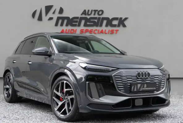 Quattro / S-line/ Top View/ B&O/ Panoramadak/ Trekhaak/ 100kWh Accu