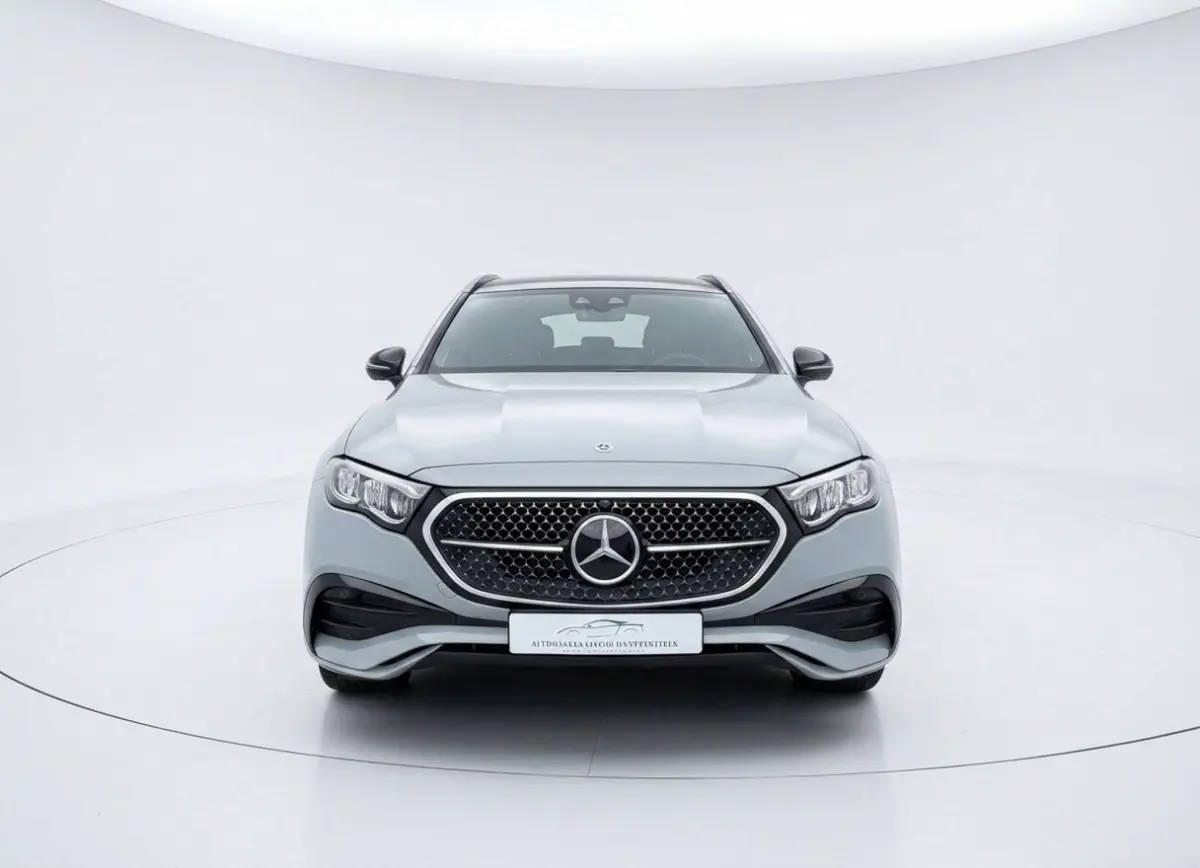 300 e AMG Line - Panorama - Trekhaak - Alpine Grey