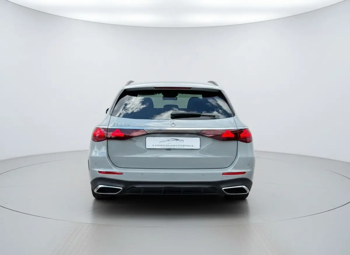 300 e AMG Line - Panorama - Trekhaak - Alpine Grey