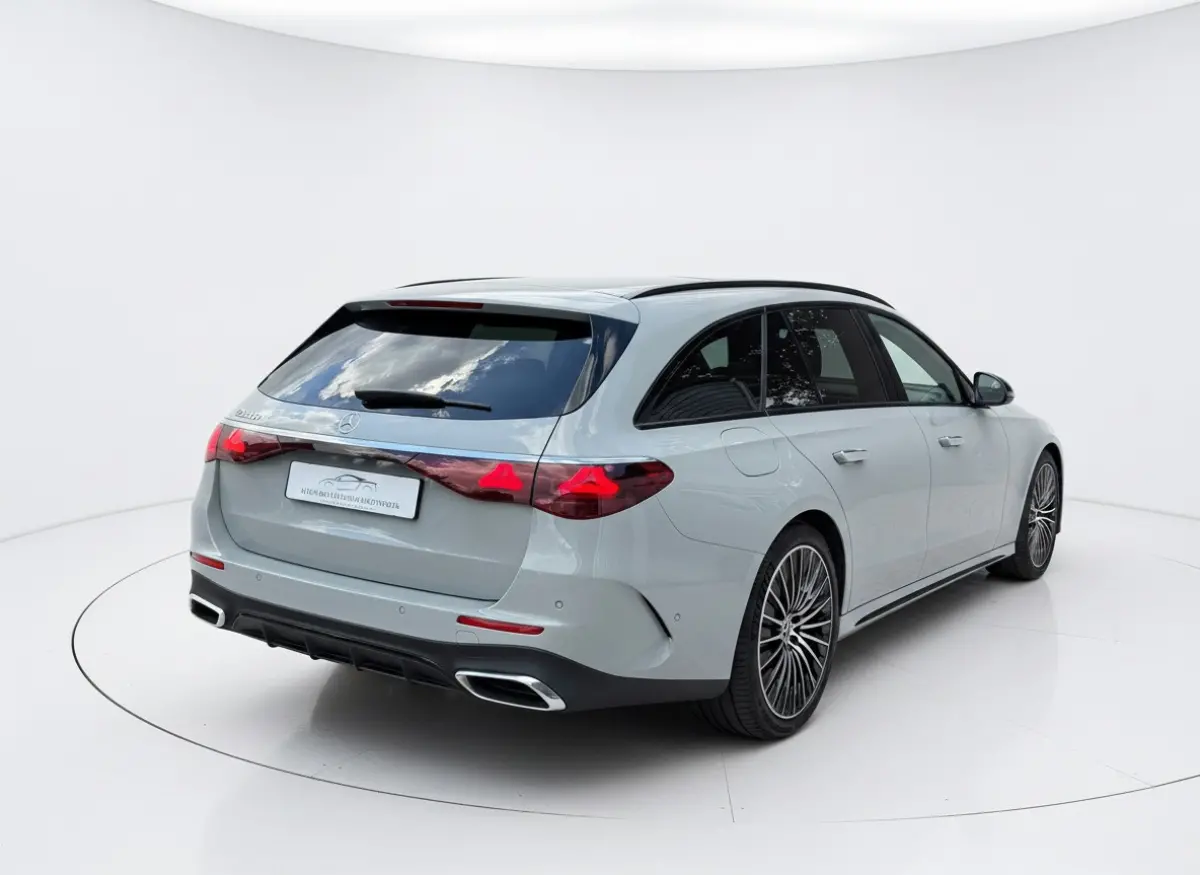 300 e AMG Line - Panorama - Trekhaak - Alpine Grey
