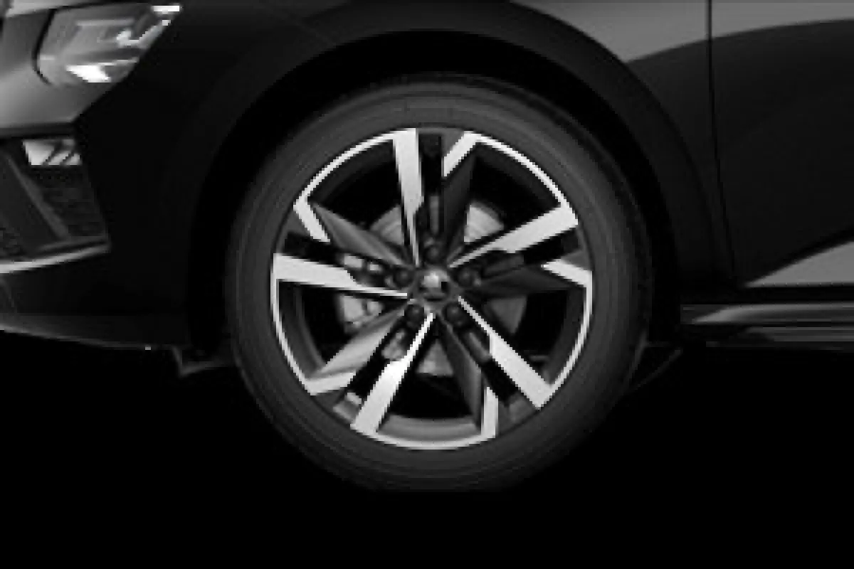 1.0 TSI 115pk DSG Monte Carlo | Winter Premium Pakket & Charging | Trekhaak