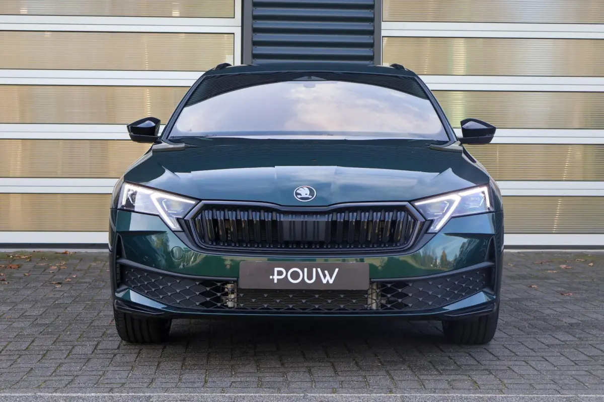 1.5 TSI 150pk MHEV Sportline Tour | 19" Velgen | Exclusieve Kleur