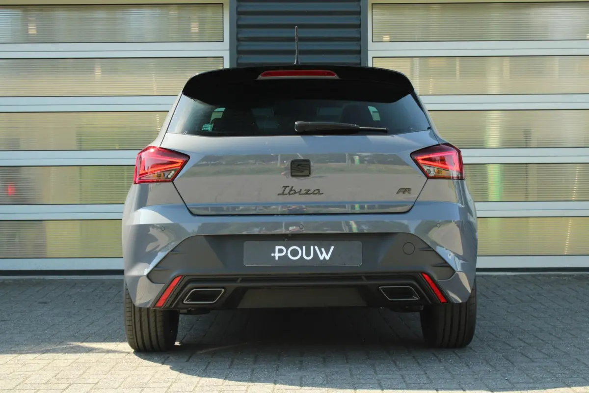1.0 EcoTSI 95pk FR Business Connect | Panoramadak | Achteruitrijcamera