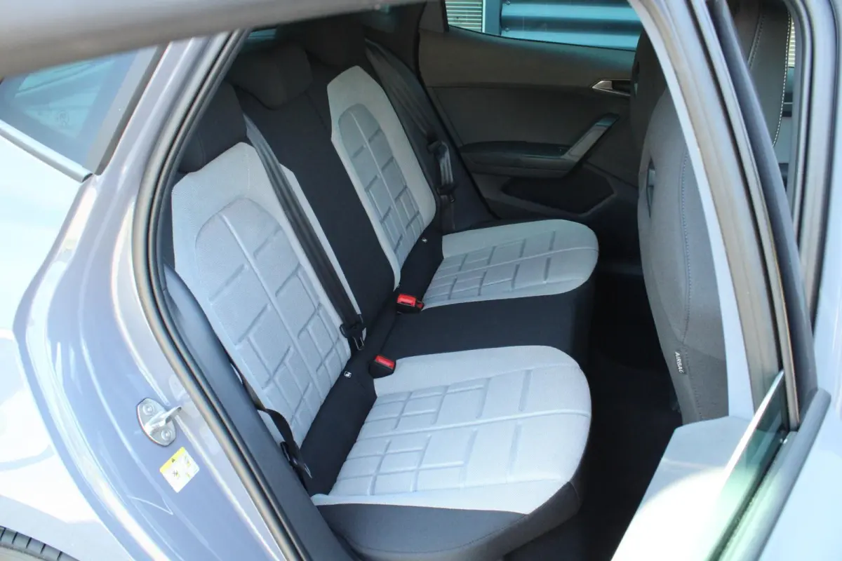 1.0 EcoTSI 95pk FR Business Connect | Panoramadak | Achteruitrijcamera