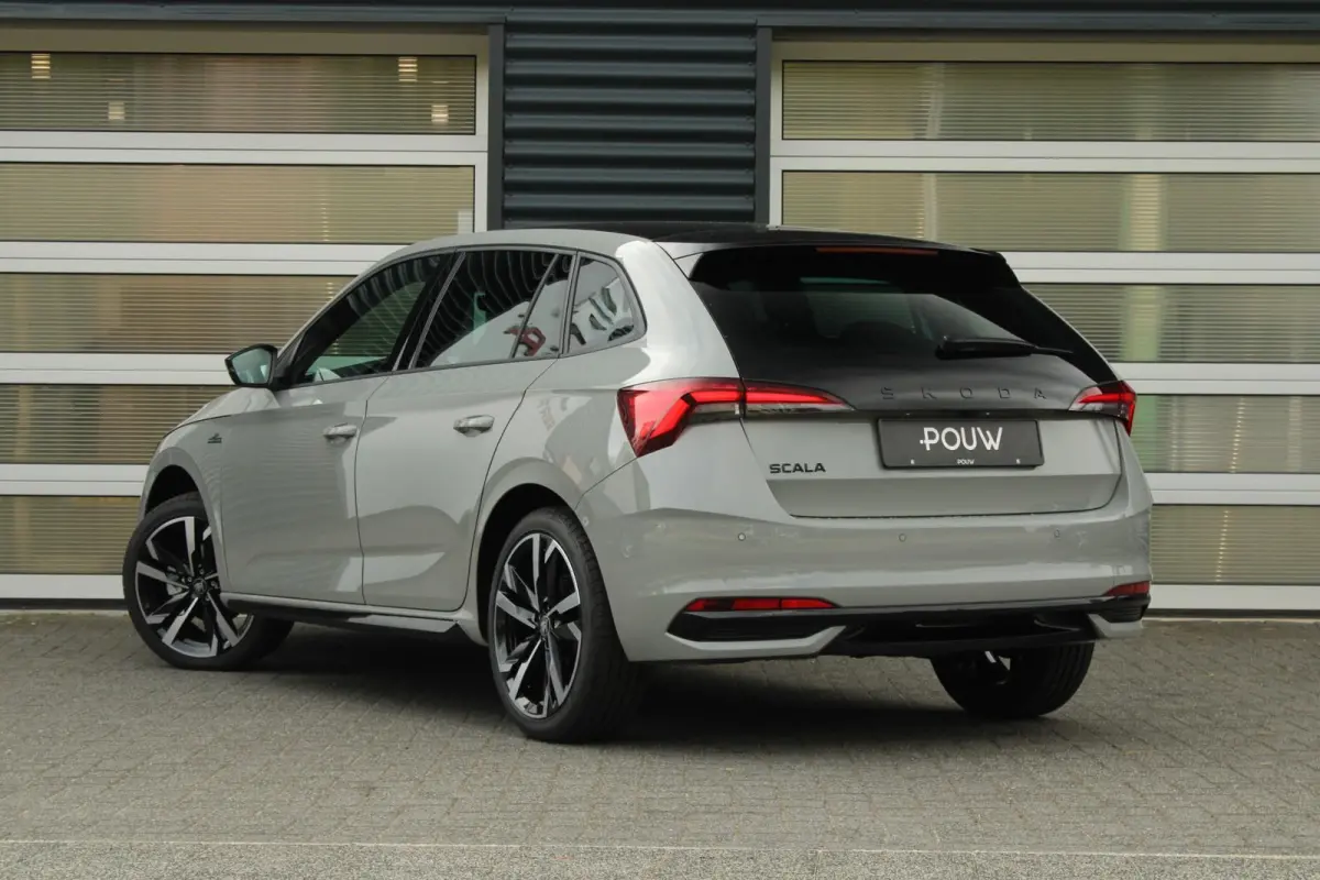 1.0 TSI 115pk Monte Carlo | Trekhaak Wegklapbaar | 18" Velgen