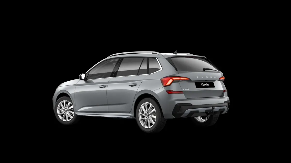 1.0 TSI 115pk DSG Business Edition | Winter Pakket Plus | 17" Velgen