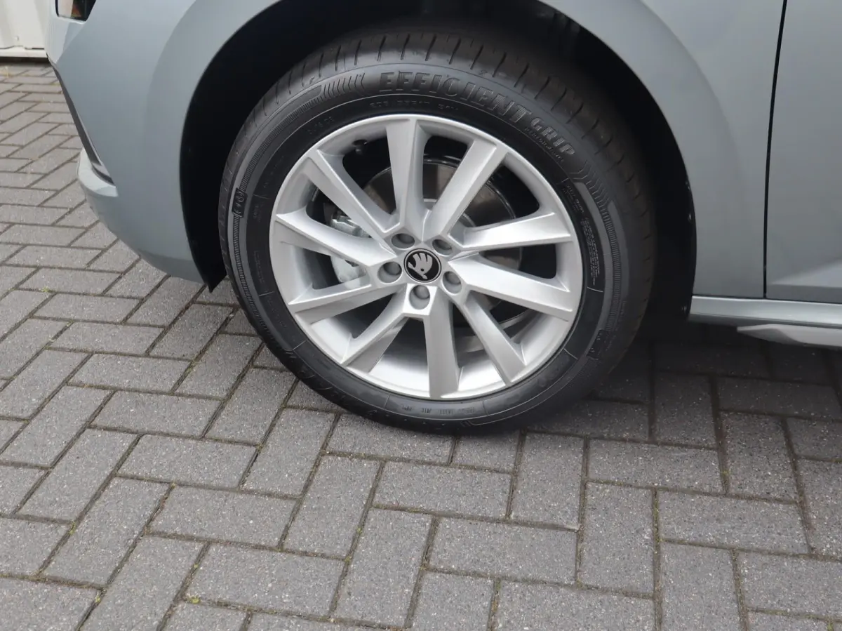 1.0 TSI 115pk DSG Business Edition | Winter Pakket | 17" Velgen