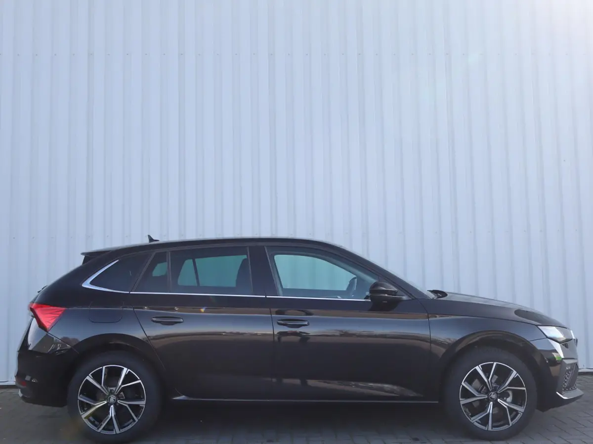 1.0 TSI 115pk Business Edition | Trekhaak Wegklapbaar | Stoelverwarming