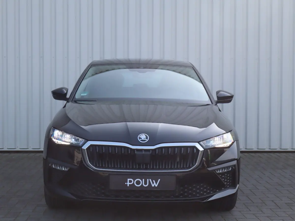 1.0 TSI 115pk Business Edition | Trekhaak Wegklapbaar | Stoelverwarming