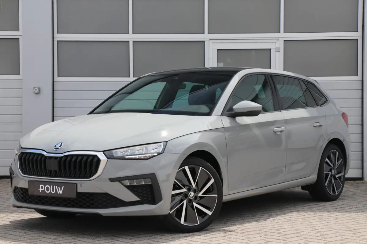 1.0 TSI 115pk Business Edition | Panoramadak | 18" Velgen | Adaptive Cruise
