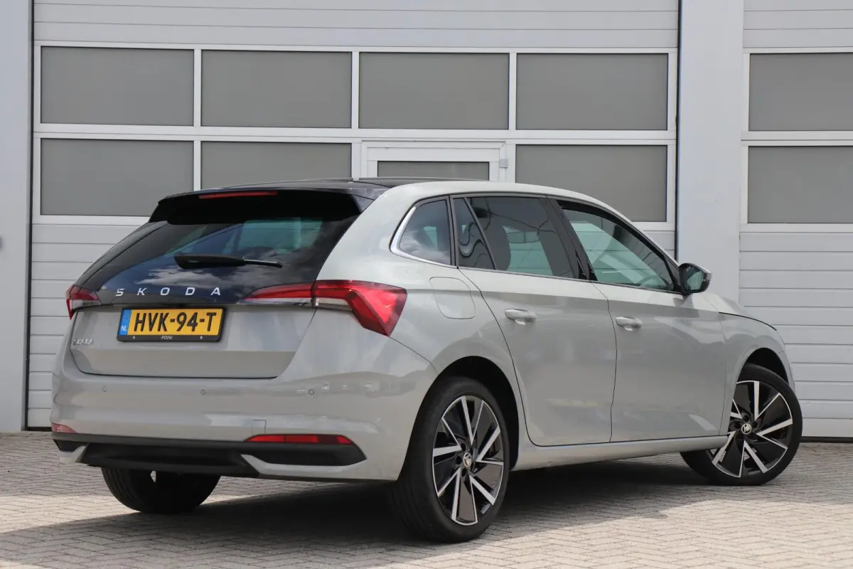 1.0 TSI 115pk Business Edition | Panoramadak | 18" Velgen | Adaptive Cruise