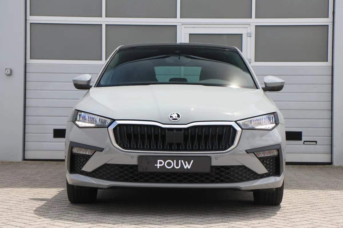 1.0 TSI 115pk Business Edition | Panoramadak | 18" Velgen | Adaptive Cruise