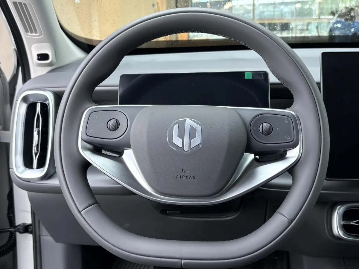 Design EV 18.8 kWh | Voorraad | Carplay | Panoramadak