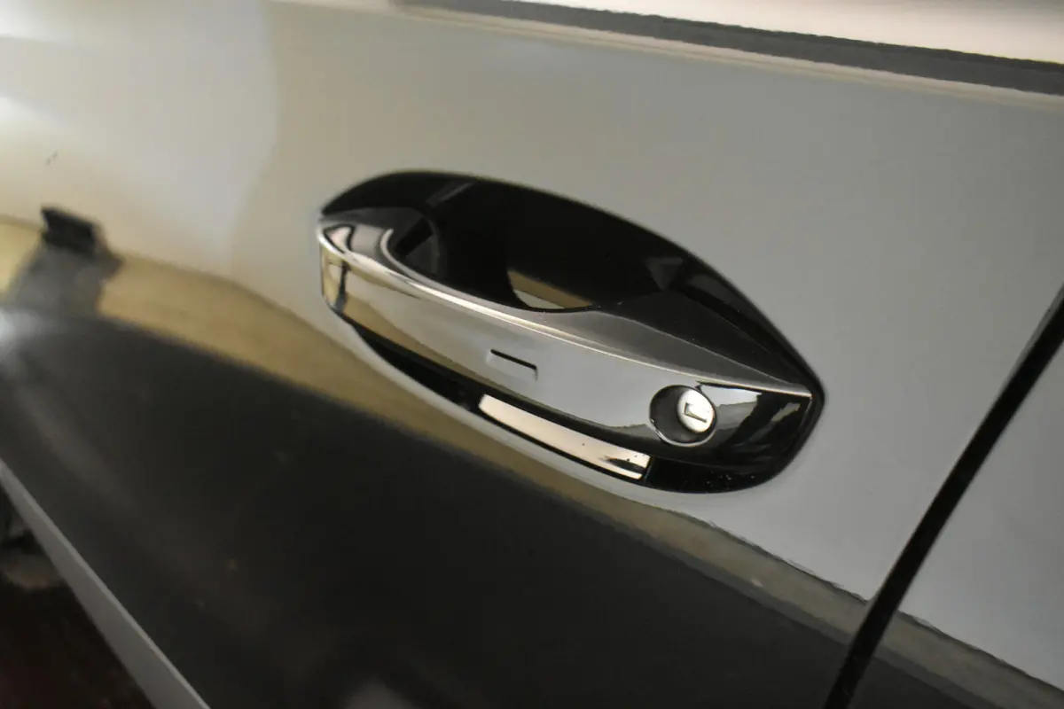 VZ 245PK Black Ed El AKlep Cupra Stuur 360ºCamera