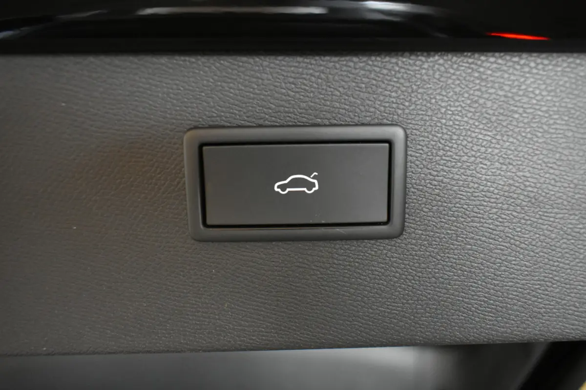VZ 245PK Black Ed El AKlep Cupra Stuur 360ºCamera