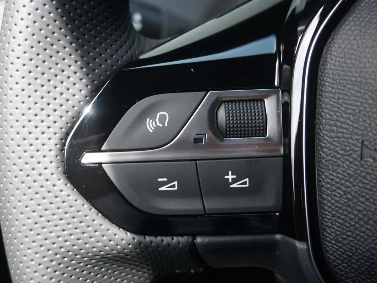 EV GT Avantage 54 kWh Leder Alcantara