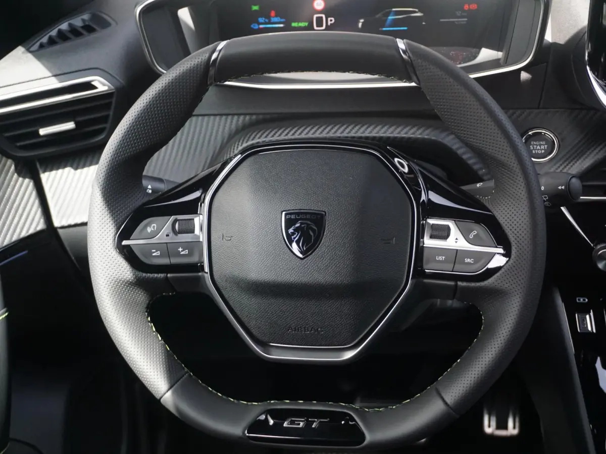 EV GT Avantage 54 kWh Leder Alcantara