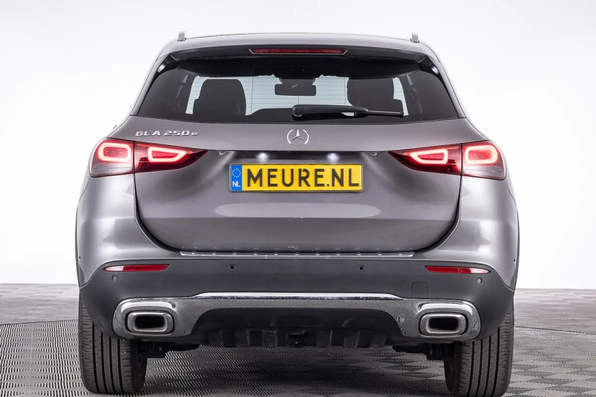 250 e Business Line | Full LED | Half LEDER | NAVI | PHEV