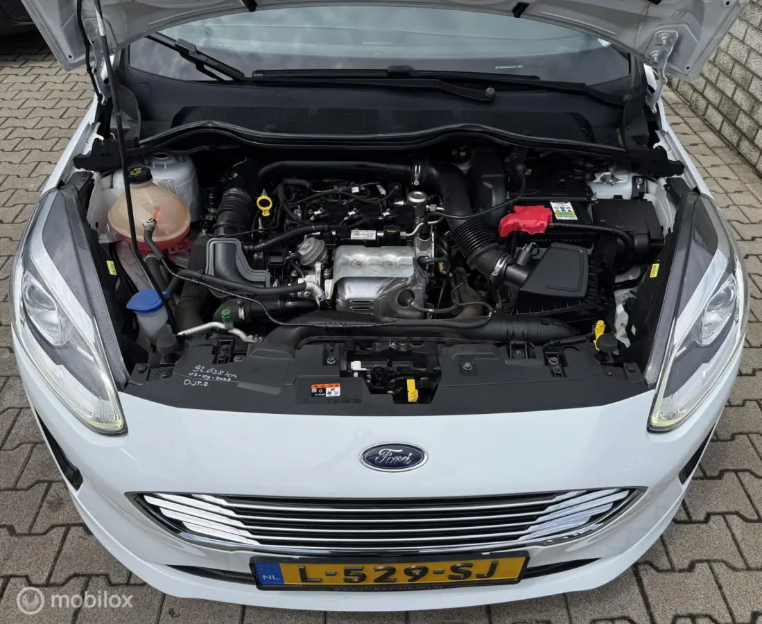 1.0 EcoBoost Titanium /B&O /PANO /Dealer onderh.