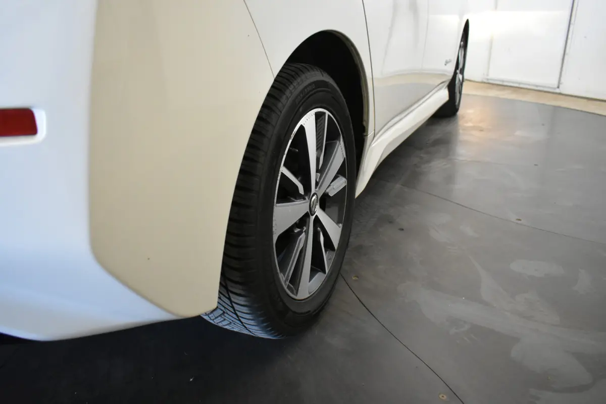 Acenta 40 kWh € 7250,- Netto exportprijs excl BTW