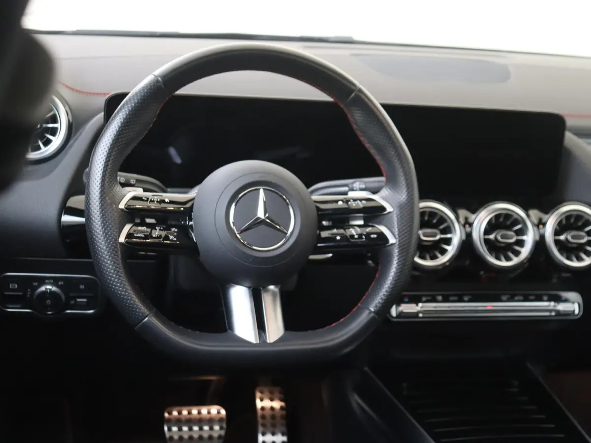 250+ AMG Line 71 kWh / Panoramadak